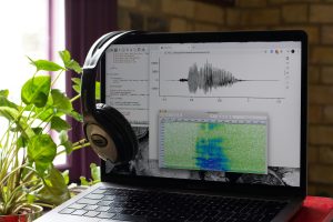 AI Voice and Audio Tools